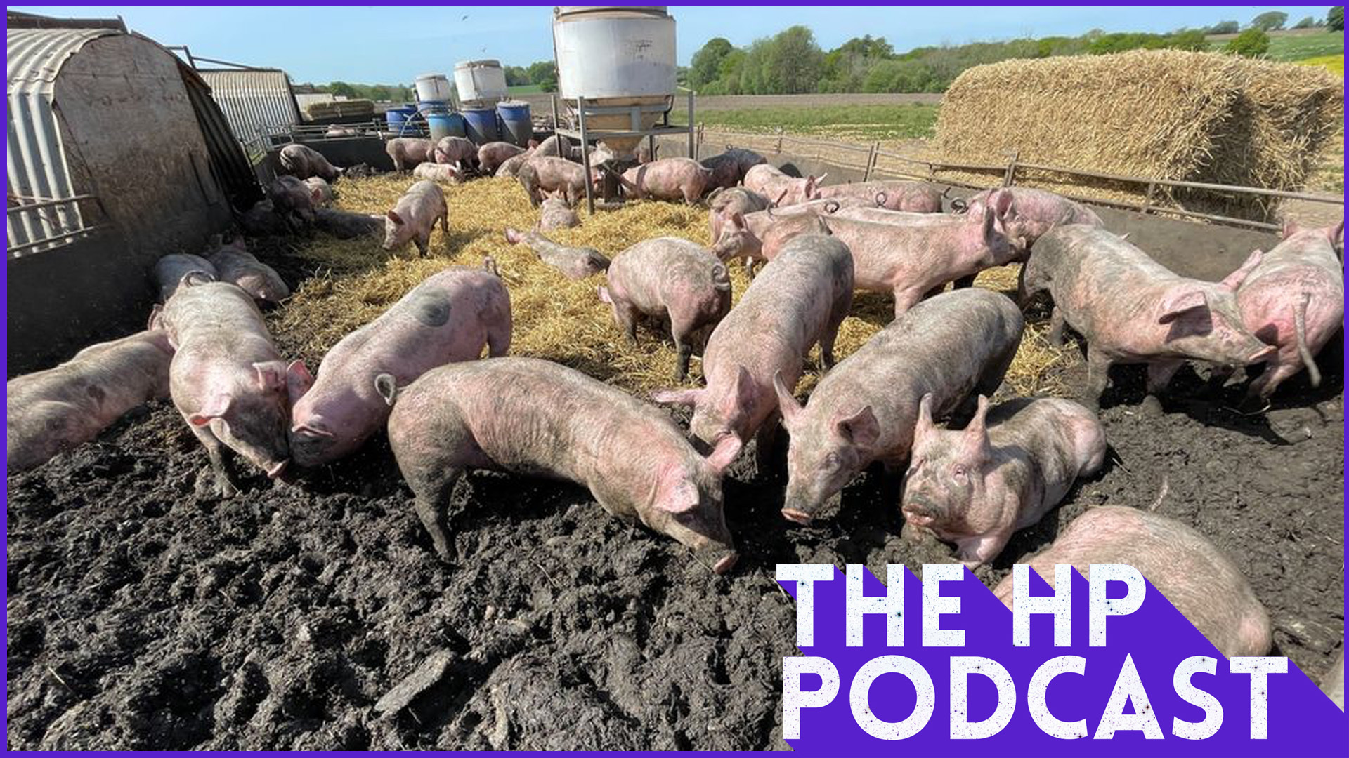 Iowa Become Human - The HP Podcast 189